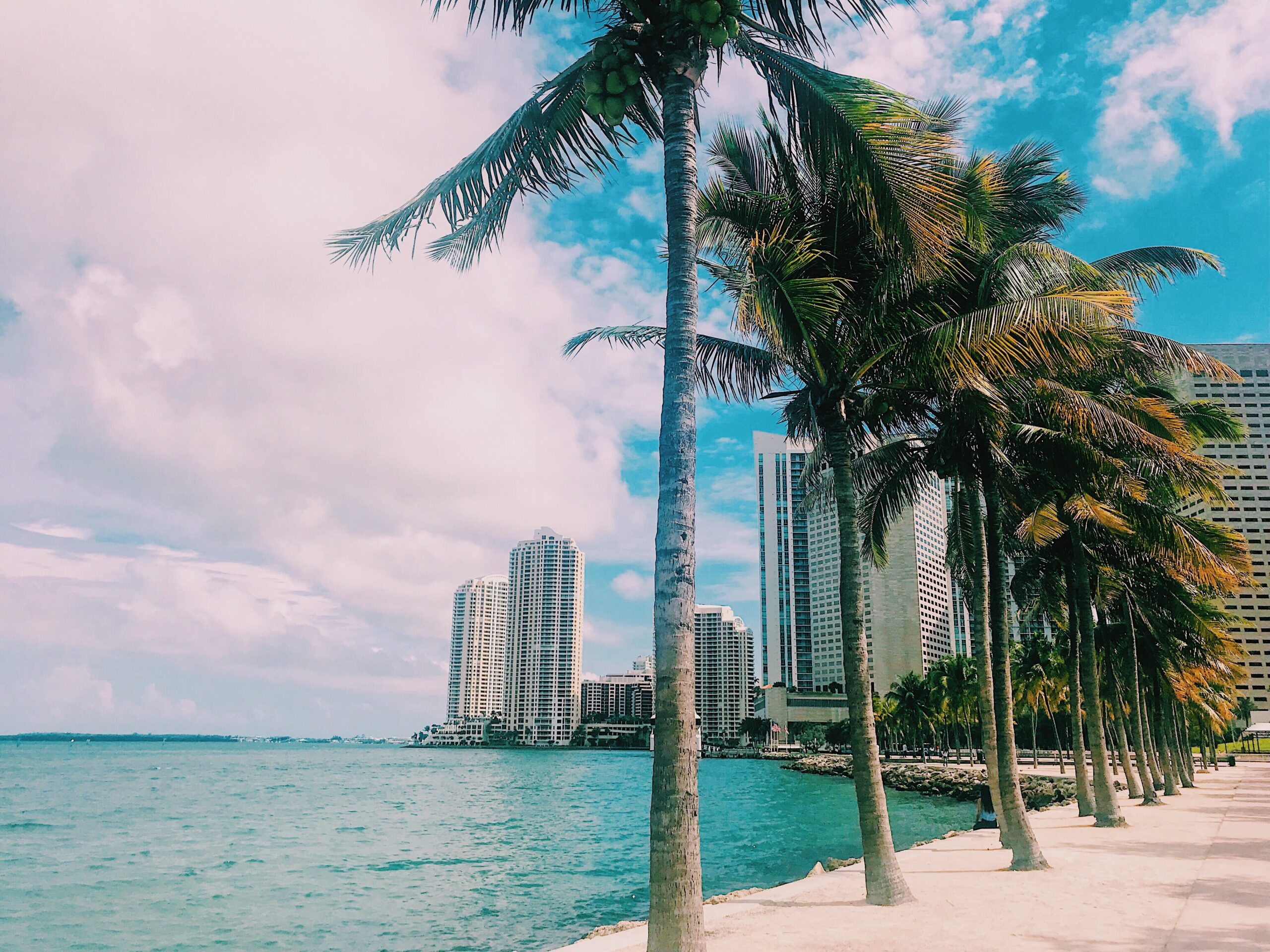 How to Start a Free LLC in Florida: Step-by-Step 2026 Guide