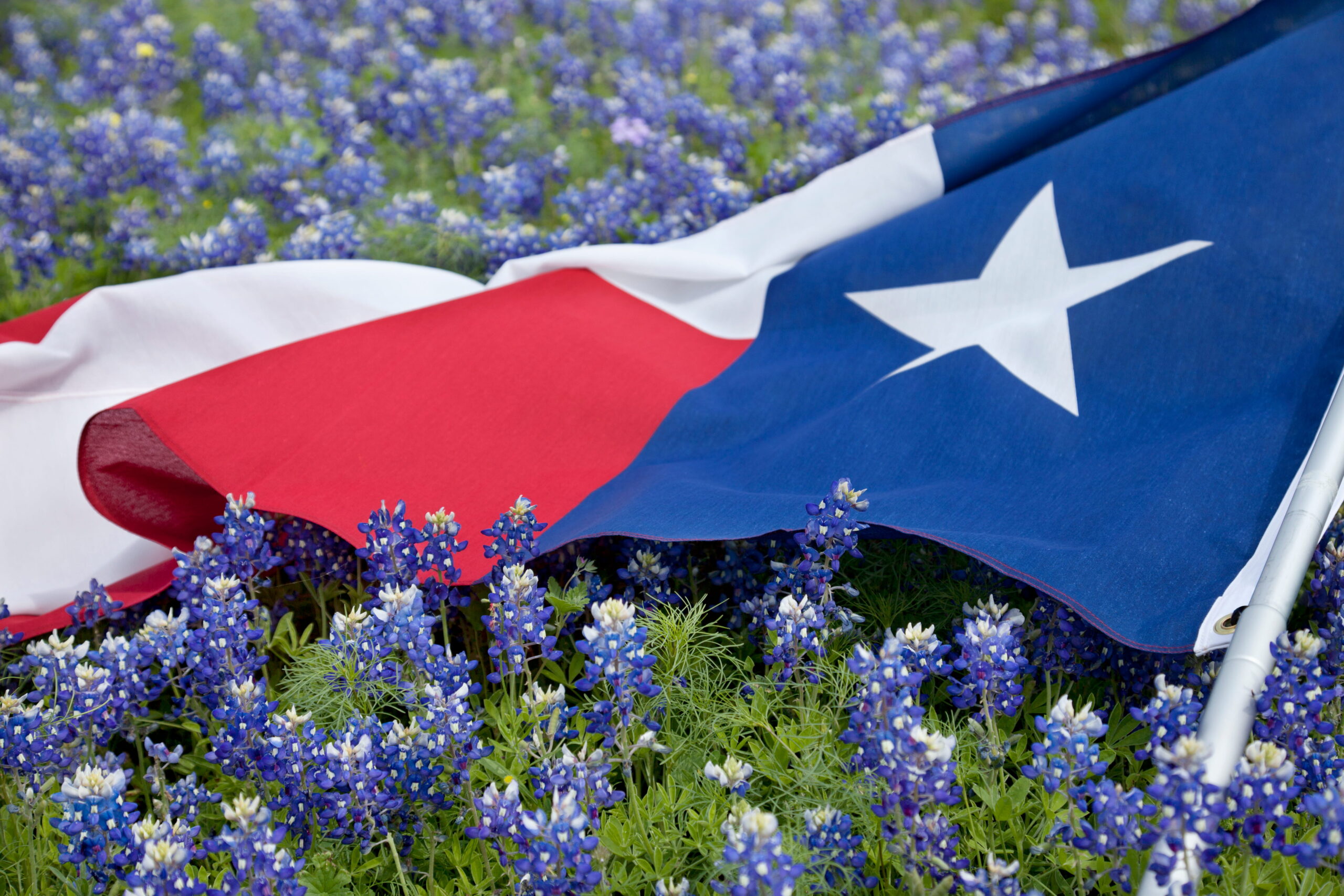 How to Start a Free LLC in Texas: 2026 Guide