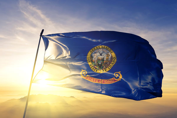 How to Start an LLC Idaho: Step-by-step