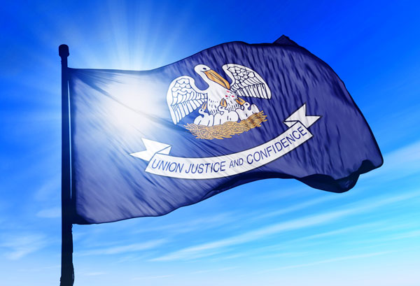 How to Start an LLC in Louisiana: Step-by-step