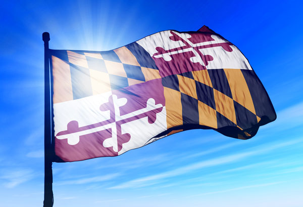 How to Start an LLC in Maryland: Step-by-step