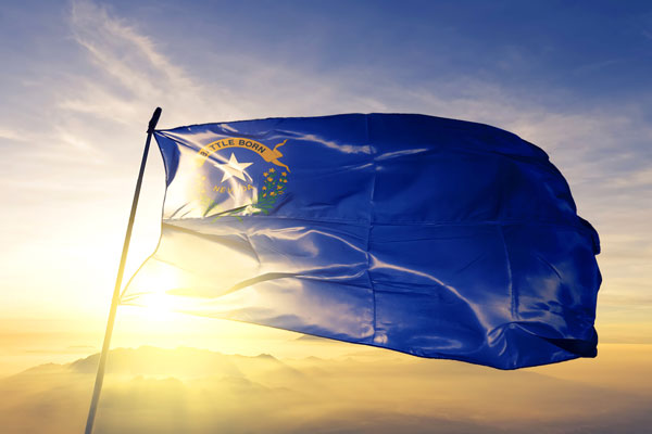 How to Start an LLC in Nevada: Step-by-step