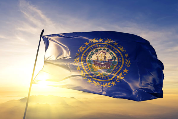How to Start an LLC in New Hampshire: Step-by-step
