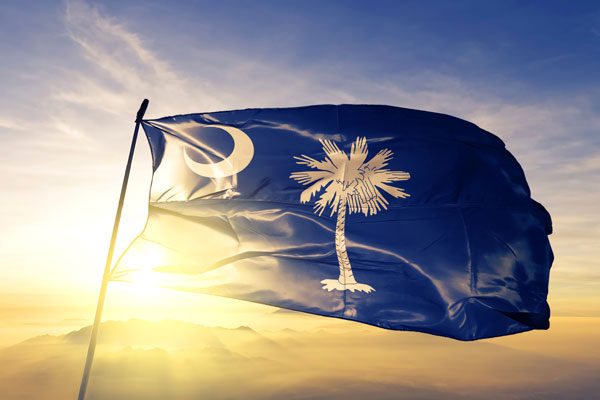 How to Start an LLC in South Carolina: Step-by-step