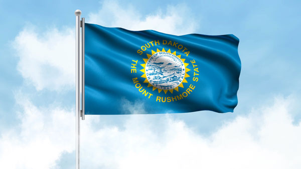 How to Start an LLC in South Dakota: Step-by-step