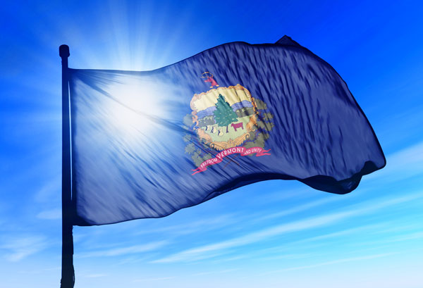 How to Start an LLC in Vermont: Step-by-step